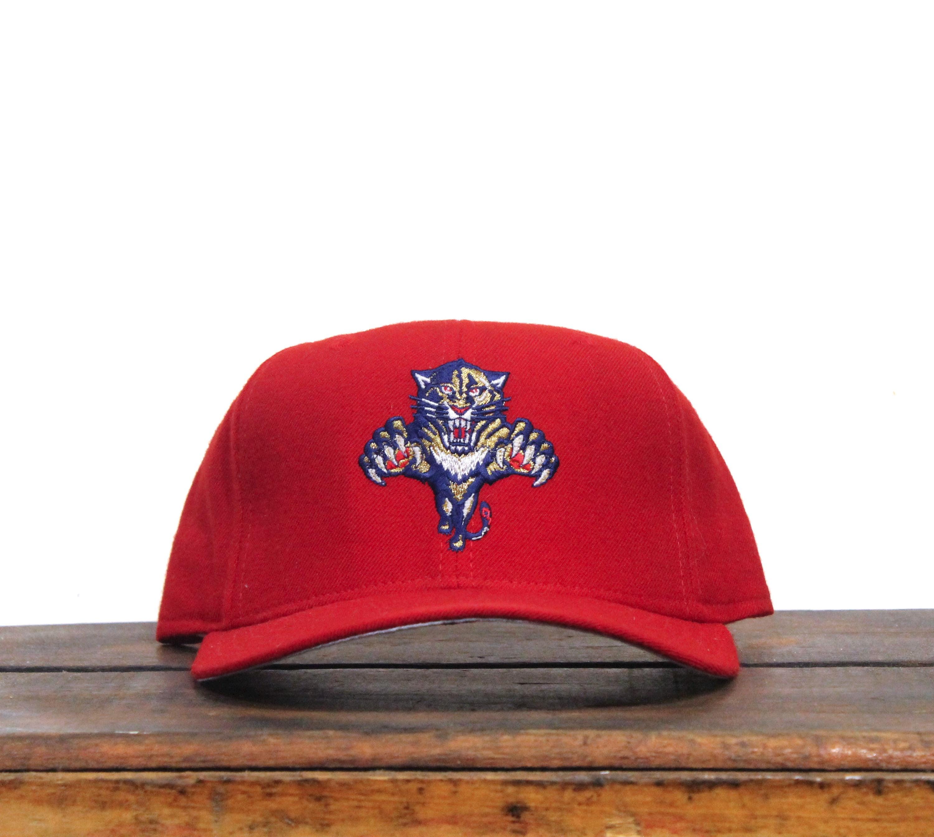 Vintage Florida Panthers Hat - Etsy