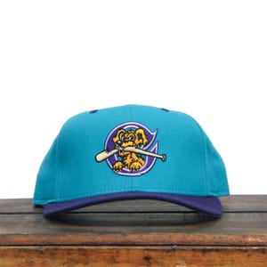 Vintage 90s Charleston RiverDogs South Carolina Minor League MILB Wool New Era 59Fifty Pro Model Fitted Hat Hat Baseball Cap 7 1/2 USA Made