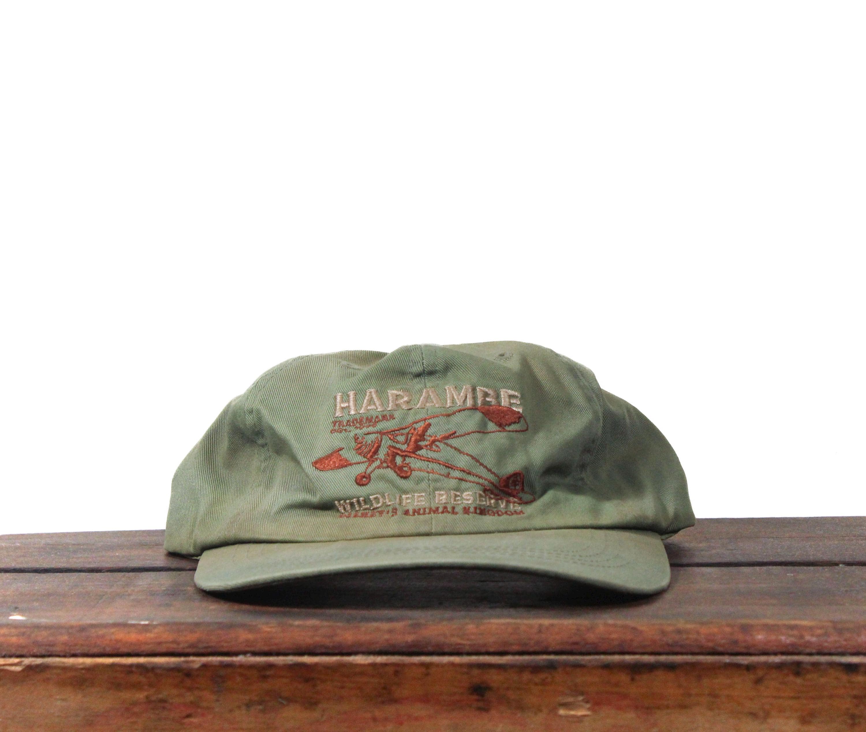 Vintage 90s Distressed Beater Harambe Wildlife Reserve Disney's