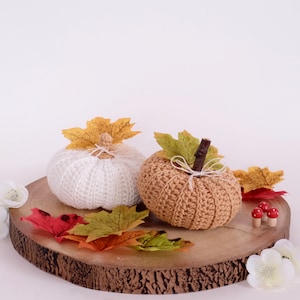 PATRÓN DE Calabaza De Ganchillo SOLAMENTE Descargar PDF. Decoración de otoño.