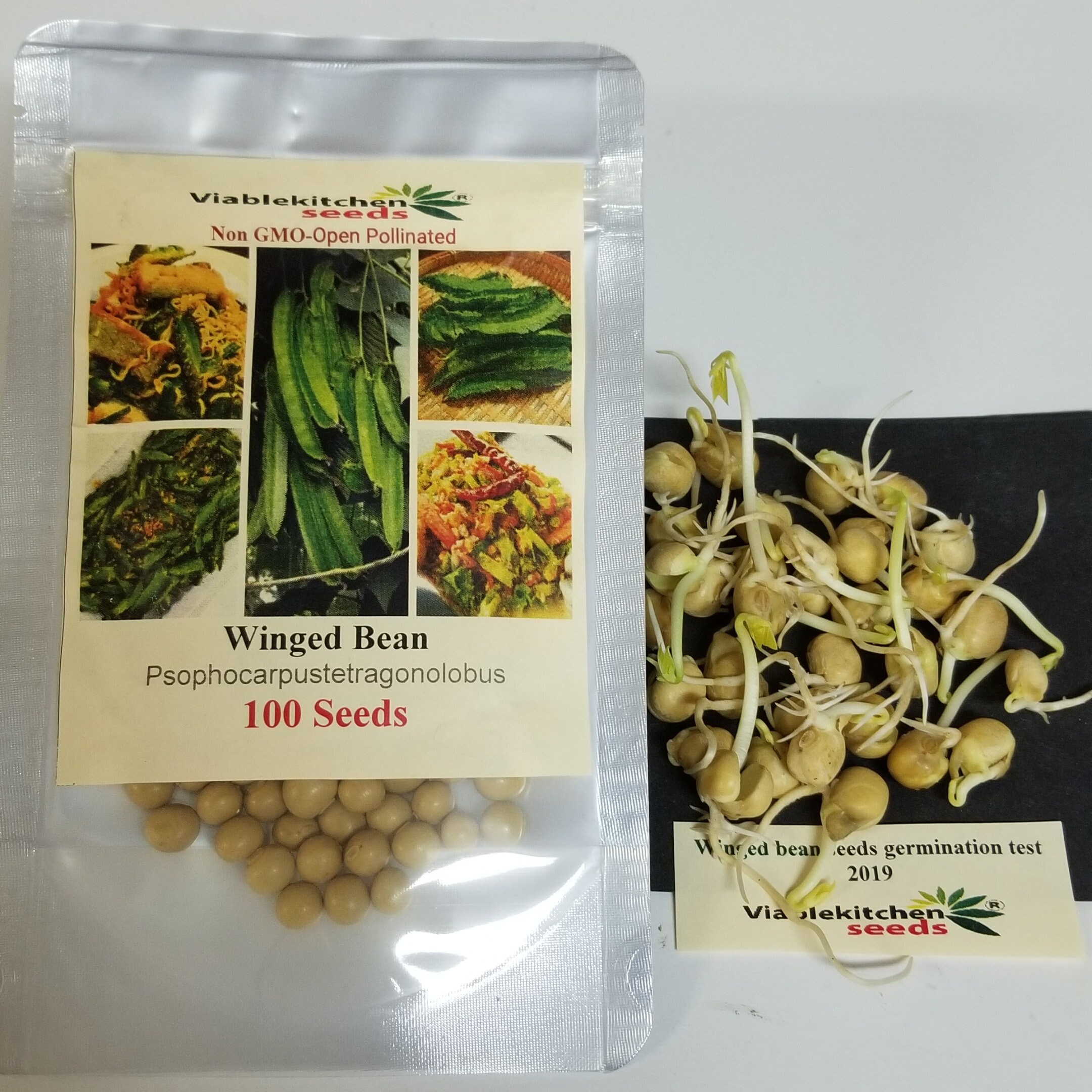 Winged Bean Seeds (Dragon Bean) – Protein-Rich Vining Bean – Jerra's Garden