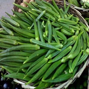 May include: A basket full of fresh green okra, a popular vegetable used in many cuisines.