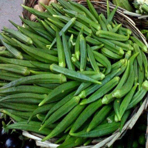 Indian dark green tender long Okra F1 - Desi Bhindi - Bendakaya - Early variety - First harvesting : 40 -45 days after sowing
