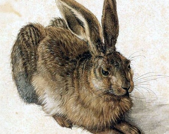 Albrecht Durer-Young Hare,  1500s, rabbits, bunny, animal art print, wildlife art, antique animal prints, vintage rabbit print, bunny 11x14"