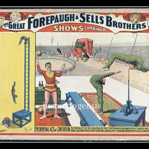 Vintage Forepaugh & Sells Circus poster, circus acrobats, antique circus poster,  8x10&quot; premium poster Print, elephants animals events