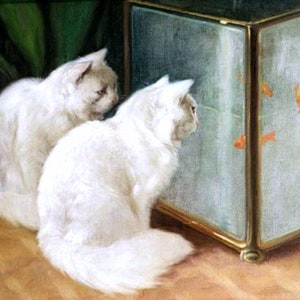 White Cats Watching Goldfish, Arthur Heyer, Feline, Fish, White persian cats, antique animal art,  8x10" Cotton Canvas Print