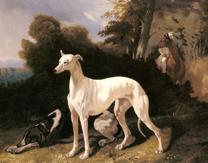 1696 Alfred Dedreux A Greyhound Mid 1800s Dogs Canine Art Etsy