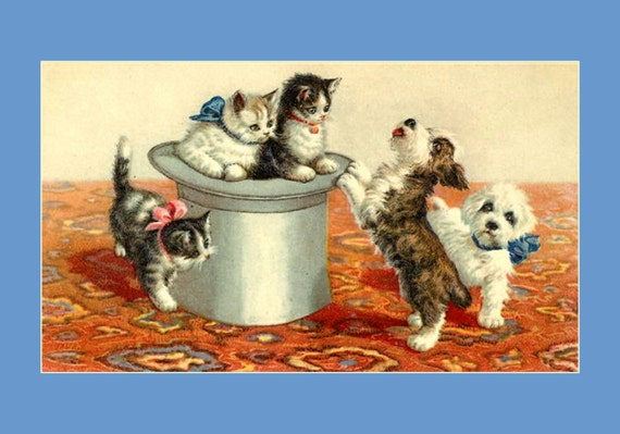 Pups and Kittens Playing on Top Hat, Feline, Canine, Cat Premium