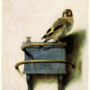 The Goldfinch. by Carel Fabritius, 1654, antique bird prints, birds in art, antique art prints, goldfinch bird, 11x14canvas art print image 4