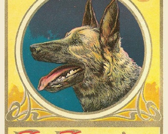 El Favorito German Shepherd Dog-Echo.  Vintage cigar label.  8x10 premium poster Print. Vintage cigar box label. cannine,