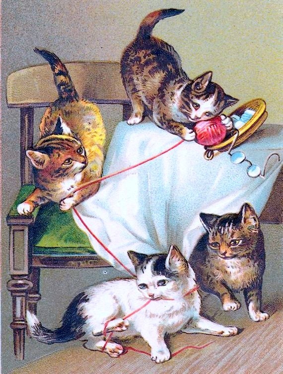 Cat playing with wool sale