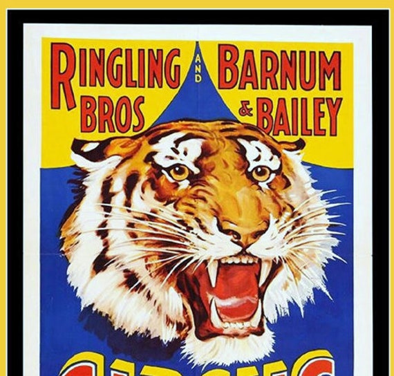 Ringling Bros Tiger Circus Poster Circus Animal Bengal Tiger Circus Tiger Show Antique Circus Poster 11 X 14 Canvas Art Print - 