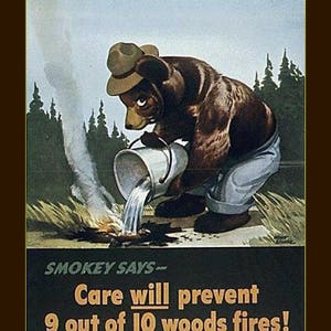 Smokey the Bear, Smokey Says, Prevent Forest Fires, Advertisement, Wildfire prevention poster, US Forest service ads, 8x10 poster