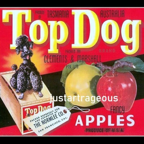 Vintage Poodle Crate Labels Etsy