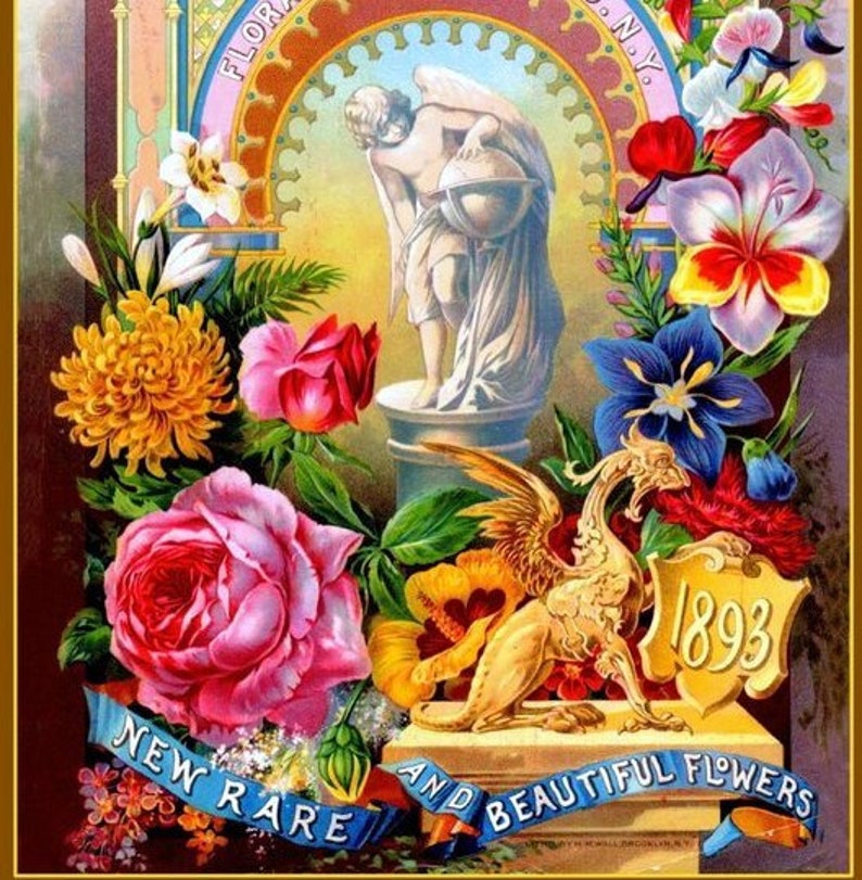 John Lewis Childs 1893 Floral Park Catalog Antique Seed and Etsy