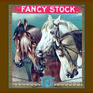 Cigar Label, Three Horses, Fancy Stock Brand, vintage crate label art, Advertisement, Equestrian art. 8x10" cotton Canvas Print