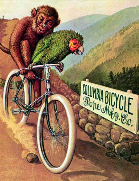 Bicicletas columbia de montaña sale