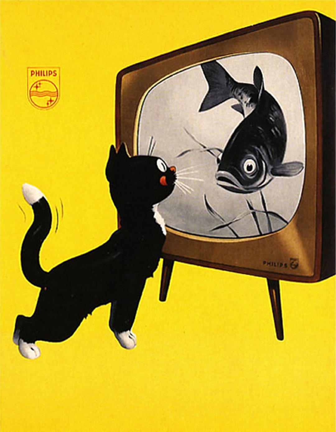 Vintage Phillips TV Advertisement, Dutch, Cat Watching Fish, Vintage
