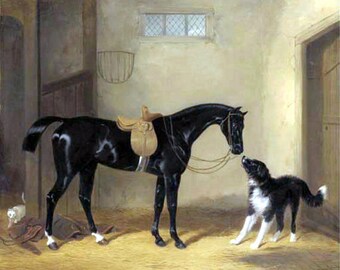 Black Hunter with Sheep Dog, William Barraud, Black Horse, Stable, Cat, shepherd dog, antique horse print, equine art, 11x14" canvas art