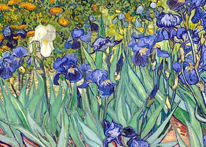 Purple Irisies Saint Remy France c.1889 Vincent van Gogh | Etsy