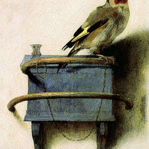 The Goldfinch. by Carel Fabritius, 1654, antique bird prints, birds in art, antique art prints, goldfinch bird, 11x14canvas art print image 2