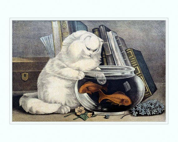 Fishing, White Cat With Paw in Fishbowl 1840s, Antique Art Print, Animal  Art, Cats in Art, Persian Cats, White Fluffy Cats, White Cat 