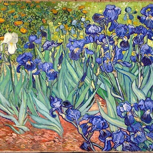 Irises-Vincent_van Gogh. 1889, antique floral art, famous art prints, famous artists, french art,  8x10&quot; canvas art prints, antique florals