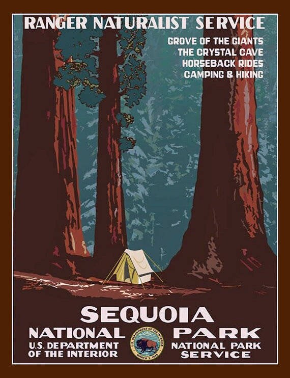 1938 Sequoia National Park Vintage Poster Of The Us Dept Of The Interior Mid Century Tourism Poster Parks And Recreation Poster 11x14