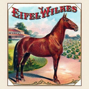 Vintage Cigar Label, Eifel Wilkes, vintage Advertisement, Brown Race Horse, famous race horses, vintage labels, 8x10&quot; Premium poster Print