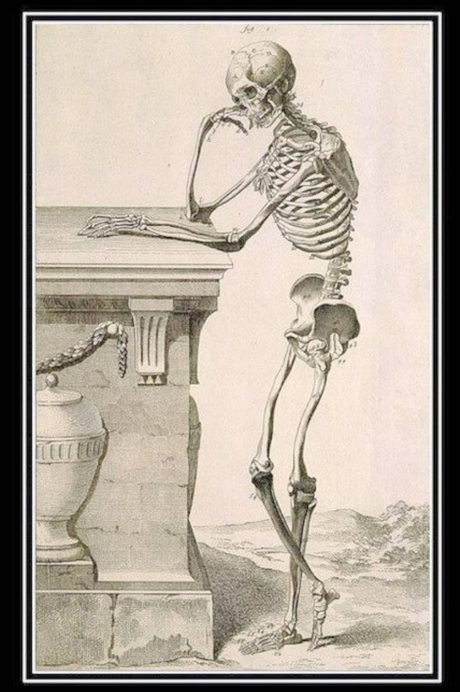 Skeleton Leaning Against a Tomb Antique Print Skull Day of | Etsy