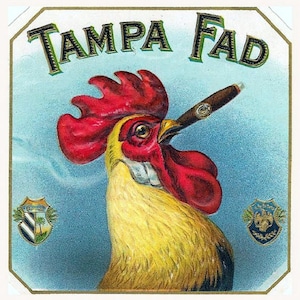 Vintage Cigar Label, Tampa Fad, Cigar Smoking Rooster , Tobaccianna, Man cave decor, bar wall art,  11 x 14" Cotton Canvas Print