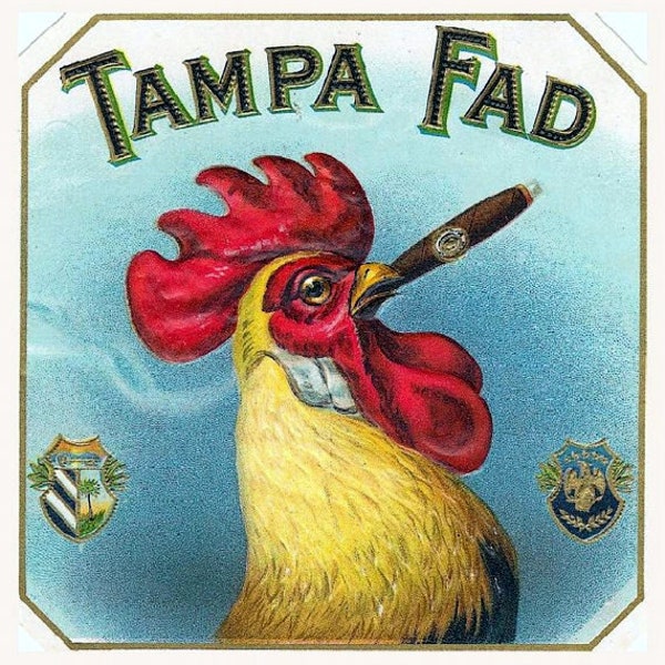 Vintage Cigar Label, Tampa Fad, Cigar Smoking Rooster , Tobaccianna, Man cave decor, bar wall art,  8x10" Cotton Canvas Print