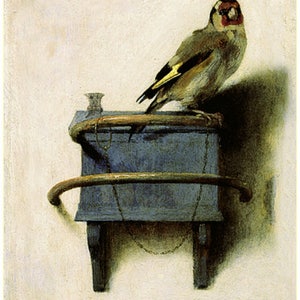 The Goldfinch. by Carel Fabritius, 1654, antique bird prints, birds in art, antique art prints, goldfinch bird, 11x14canvas art print image 3