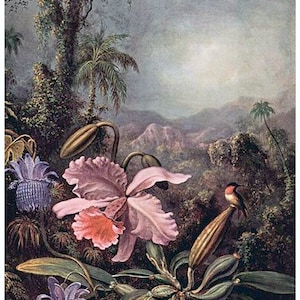 Martin Johnson Heade-woodland, floral landscapes, lanscape prints, orchids,hummingbirds, exotic  canvas art prints, 11x14&quot; canvas art print