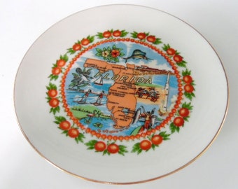 Florida picture souvenir plate, Vintage, souvenir plate.  Shiny gold edging, souvenir wall plate, 7" diameter, Ready to hang, Free ship US