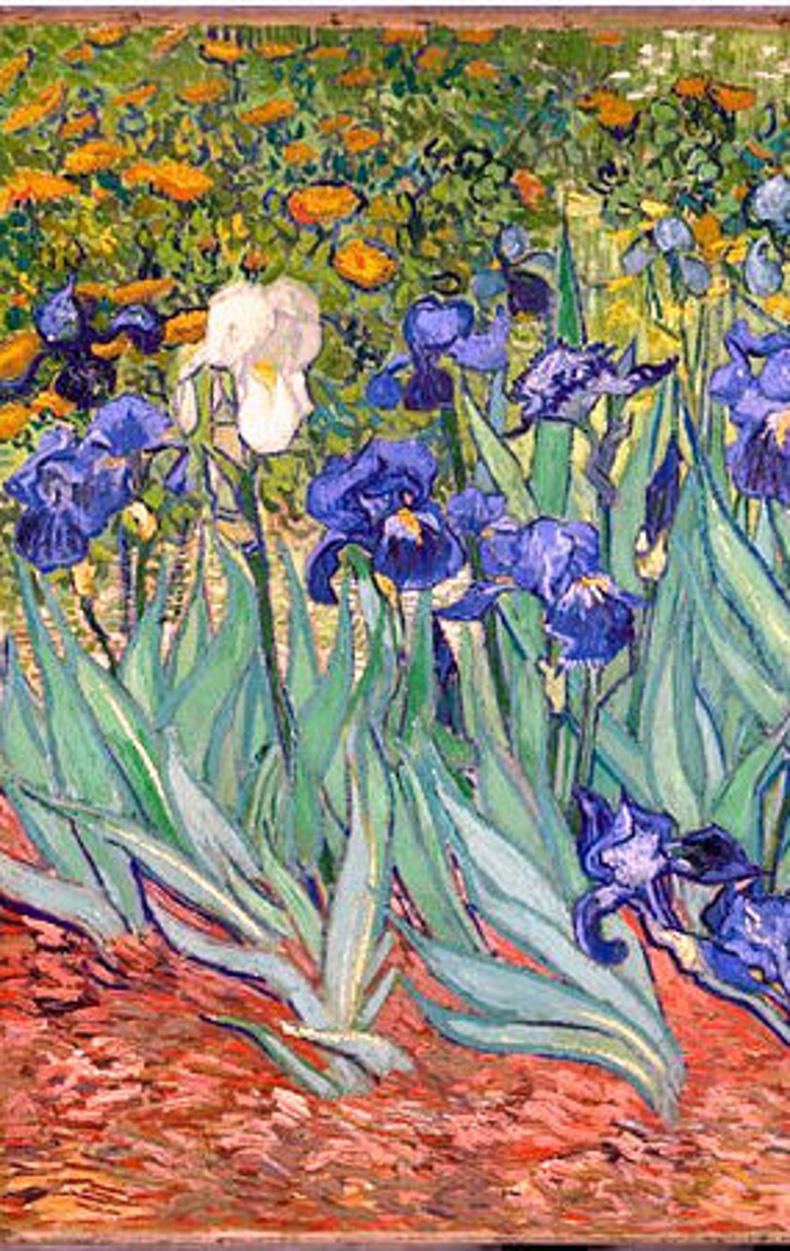 Irisesvincent_van Gogh. 1889. Antique Art Prints Post Etsy