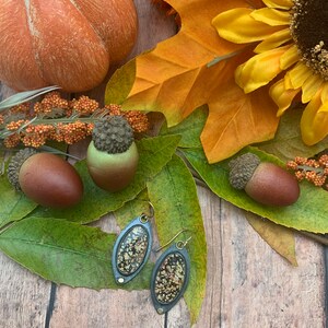 May include: A pair of oval-shaped earrings with a gold-toned metal setting and a black resin inlay. The resin has a speckled pattern of gold and brown. The earrings are set against a background of fall foliage, including a pumpkin, sunflower, and acorns.