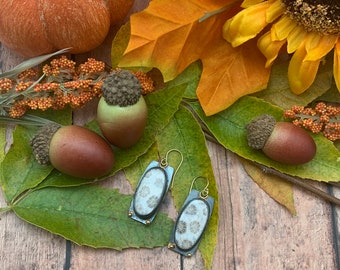 Mixed Metal Fossilized Coral Earrings