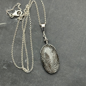 Bryozoan Coral Solitaire Necklace