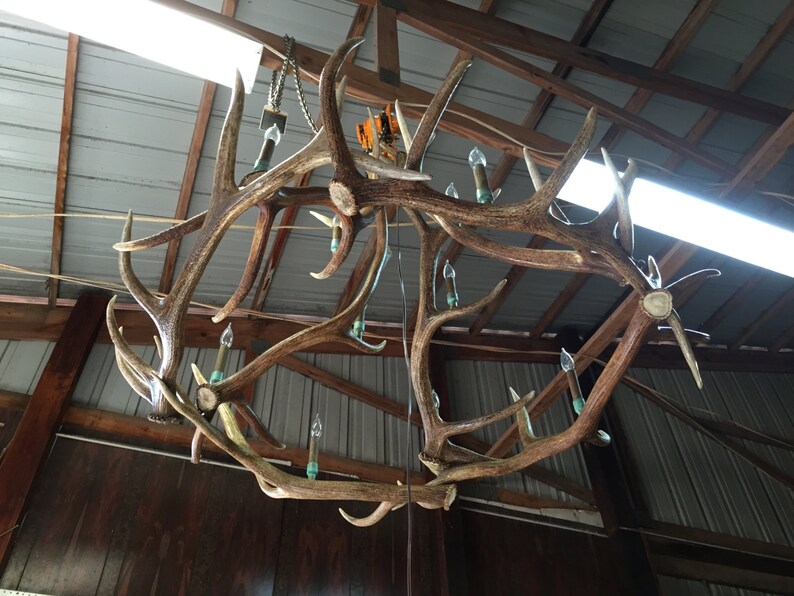Large Antler Chandelier. Very Custom Candelabras. 5.5 Feet Etsy