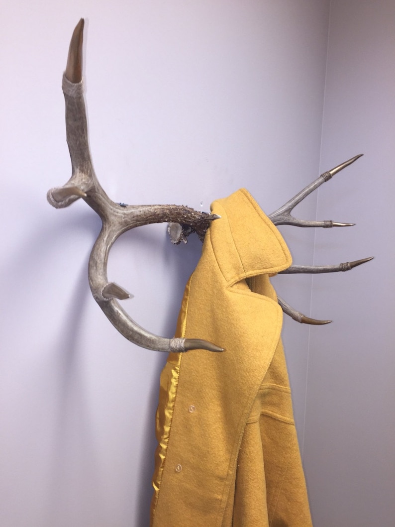 Antler Coat Rack Etsy