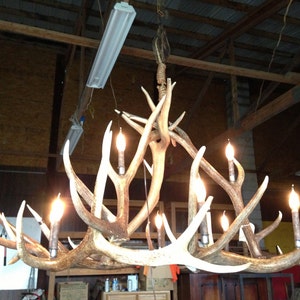 Elk antler chandelier