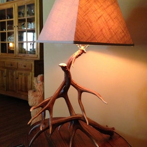 Mule Deer Antler Table Lamp