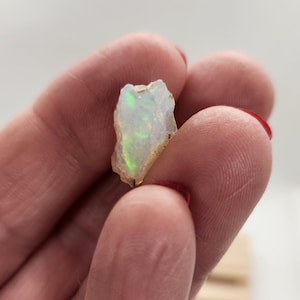 May include: A rough, raw opal gemstone with a milky white base and flashes of green and yellow iridescence. The opal is irregularly shaped, showcasing its natural, unpolished state. The gemstone is held in a hand.