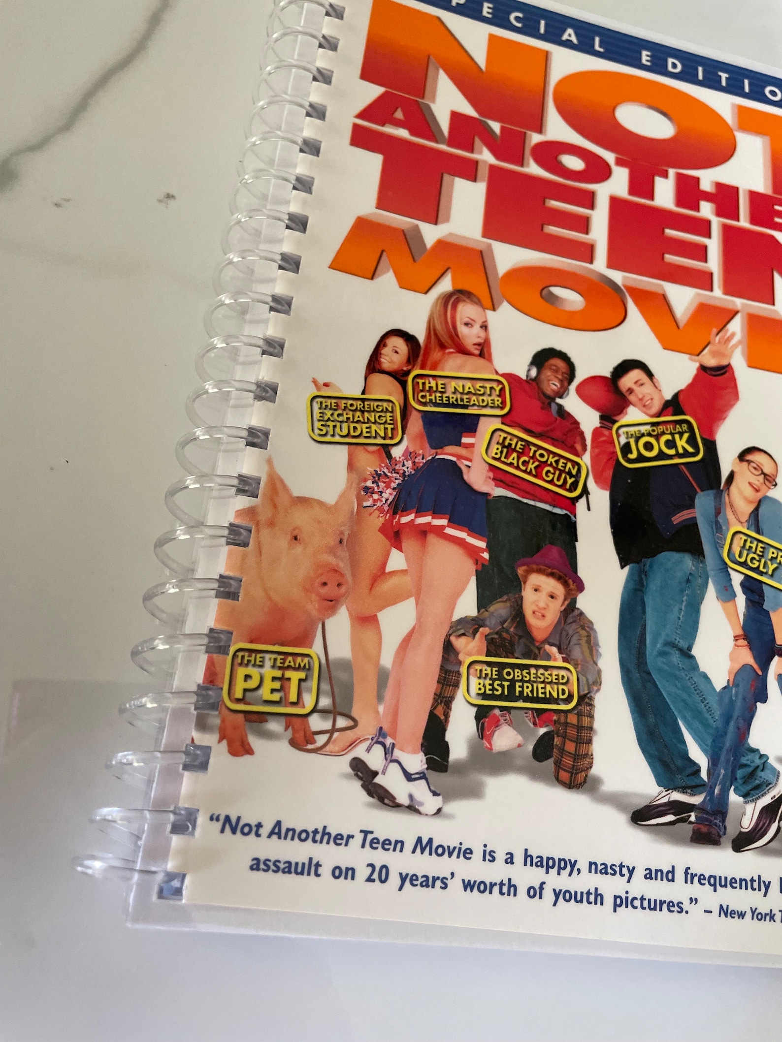 Not Another Teen Movie Movie DVD Upcycled Spiral Bound Notebook Journal ...