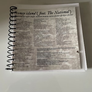 May include: A close-up of a notebook with lyrics from the song "Coney Island" by Taylor Swift featuring The National. The lyrics are printed on a white background with black text. The lyrics include the lines "Break my soul in two" and "Sorry for not making you my centerfold".