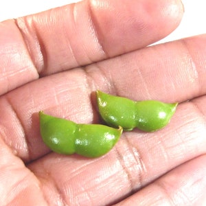 Edamame - Soybean Earrings - Tiny Food Jewelry - 1 Pair