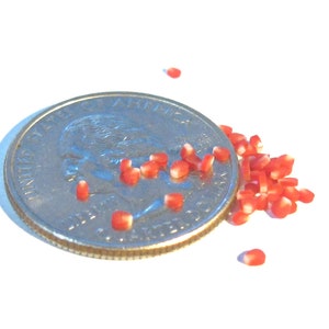 Dollhouse Teeny Tiny Pomegranate Seeds 40pcs