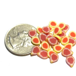 Dollhouse Mixed Fig Slices 30pcs