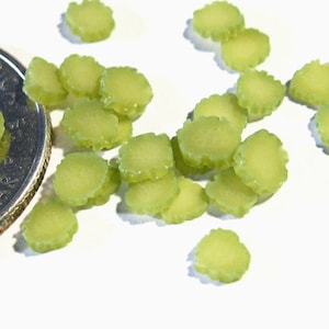 Burger Pickle Slices 25pcs Thick Cut